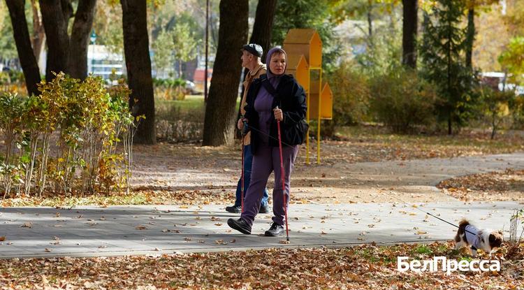 Как отдохнуть белгородцам 26–28 сентября