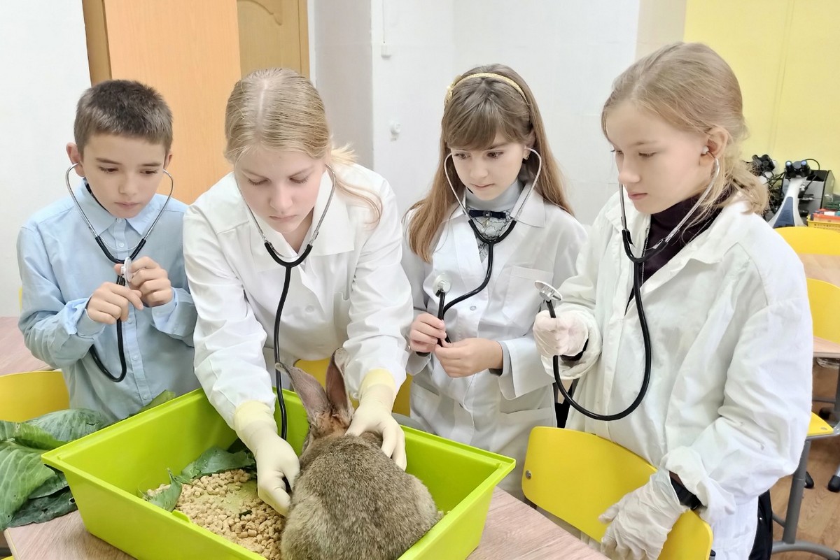 Какой кружок выбрать ребенку. Здоровый ребенок. Калуга дети. Клинический осмотр кролика. Девочка учится в 7 классе  и ходит в кружок какое у нее образование.