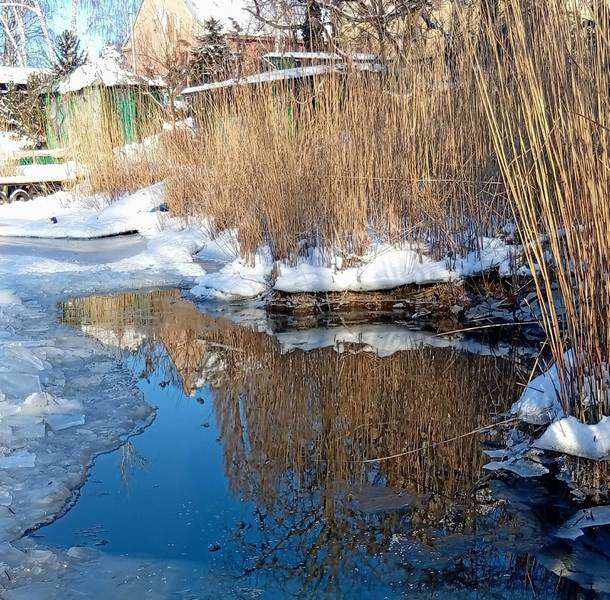 Открытая вода которую Светлана вырубила для птиц в Балтийске.jpg