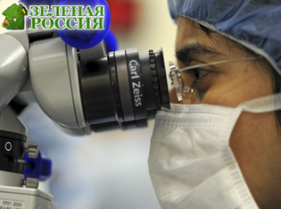 Учёные обнаружили нервные компоненты, влияющие на рост опухолей желудочно-кишечного тракта