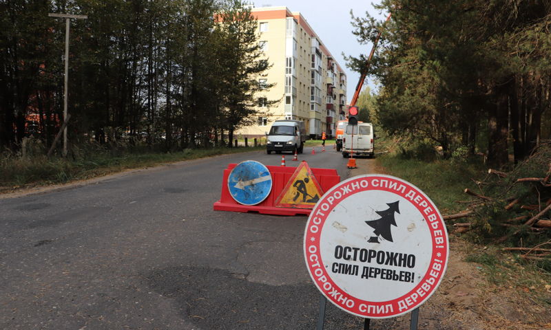 Расширение дороги за Волгой в Ярославле проведут с сохранением деревьев