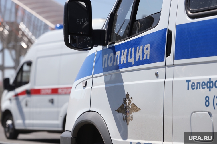 Обрушение надземного перехода на трассе Челябинск -Курган. Курган, полиция, скорая помошь