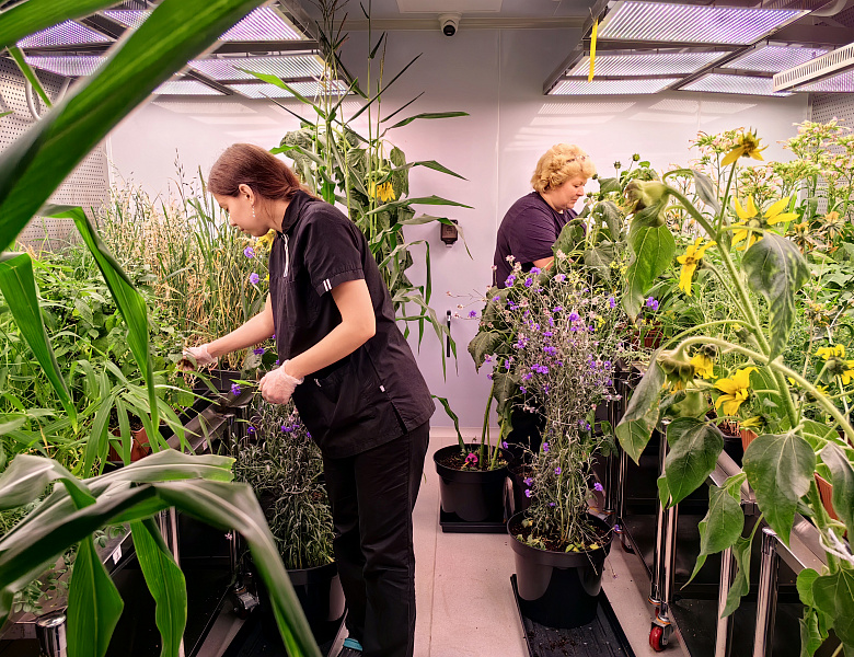 Финал агрономической универсиады