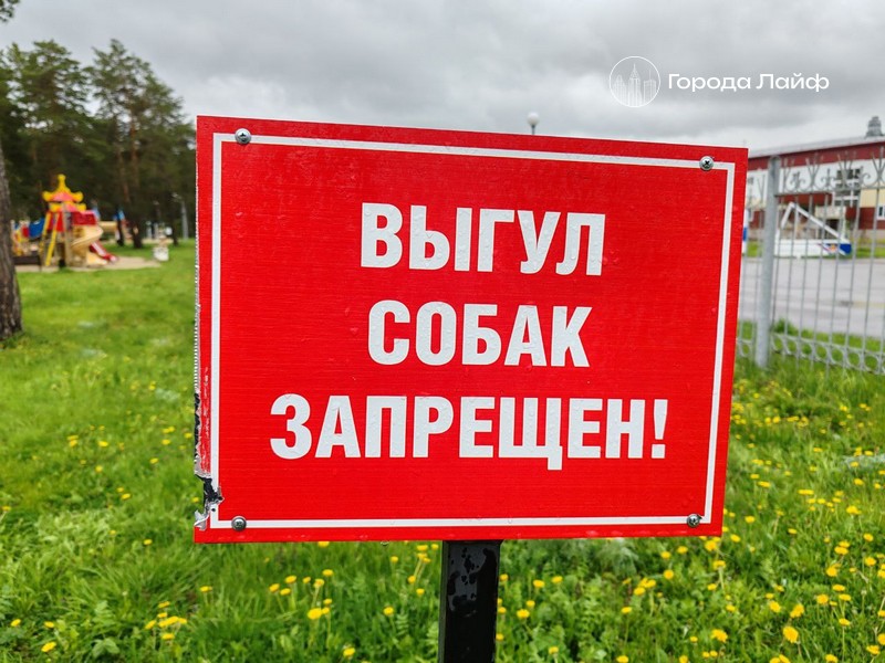 В Екатеринбурге три собаки отравились подозрительными сосисками во дворе | Жители ЖК «Изумрудный бор» в Екатеринбурге обвиняют соседку в отравлении питомцев