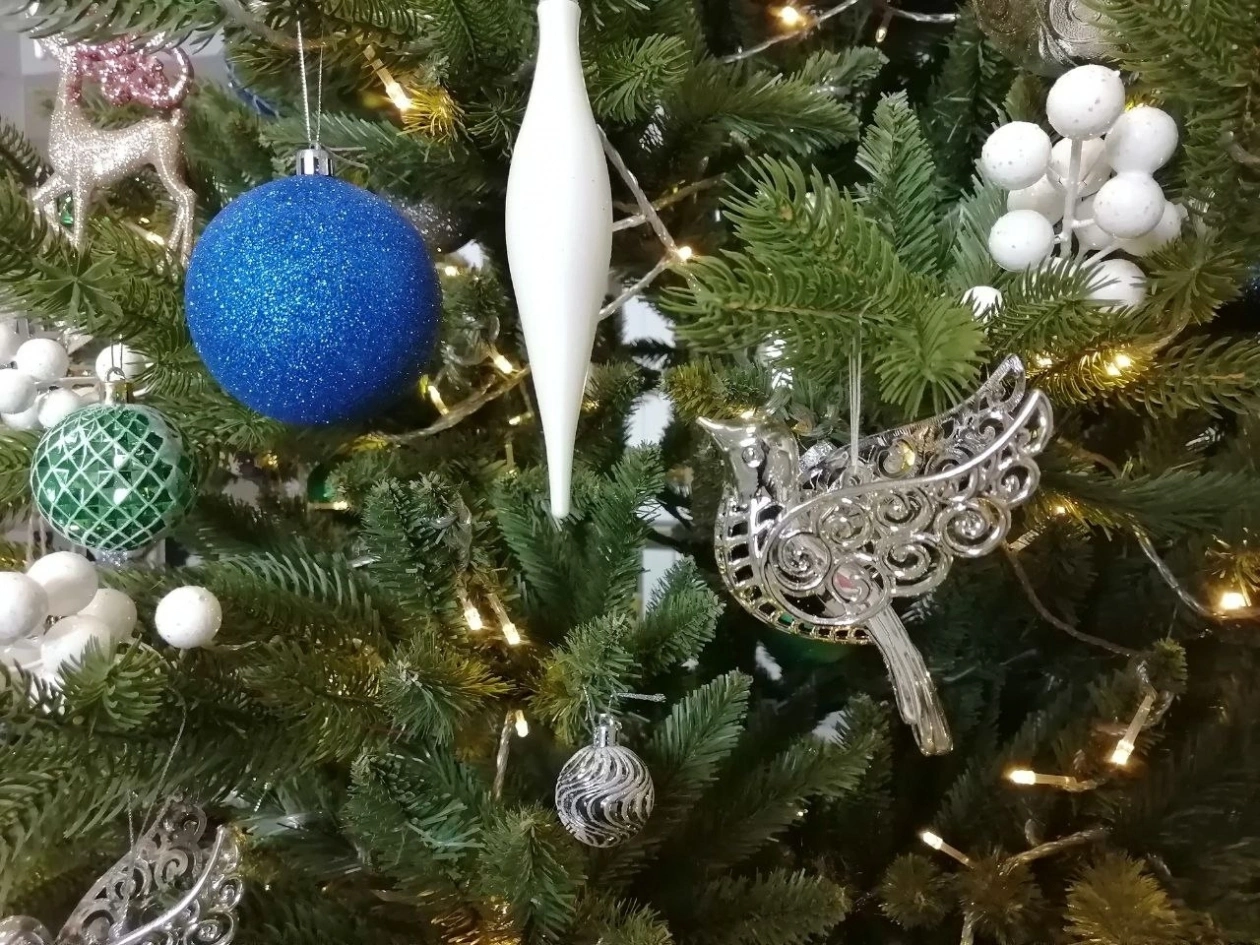 Тематическое фото Анета Абрамченко, ИА ChitaMedia