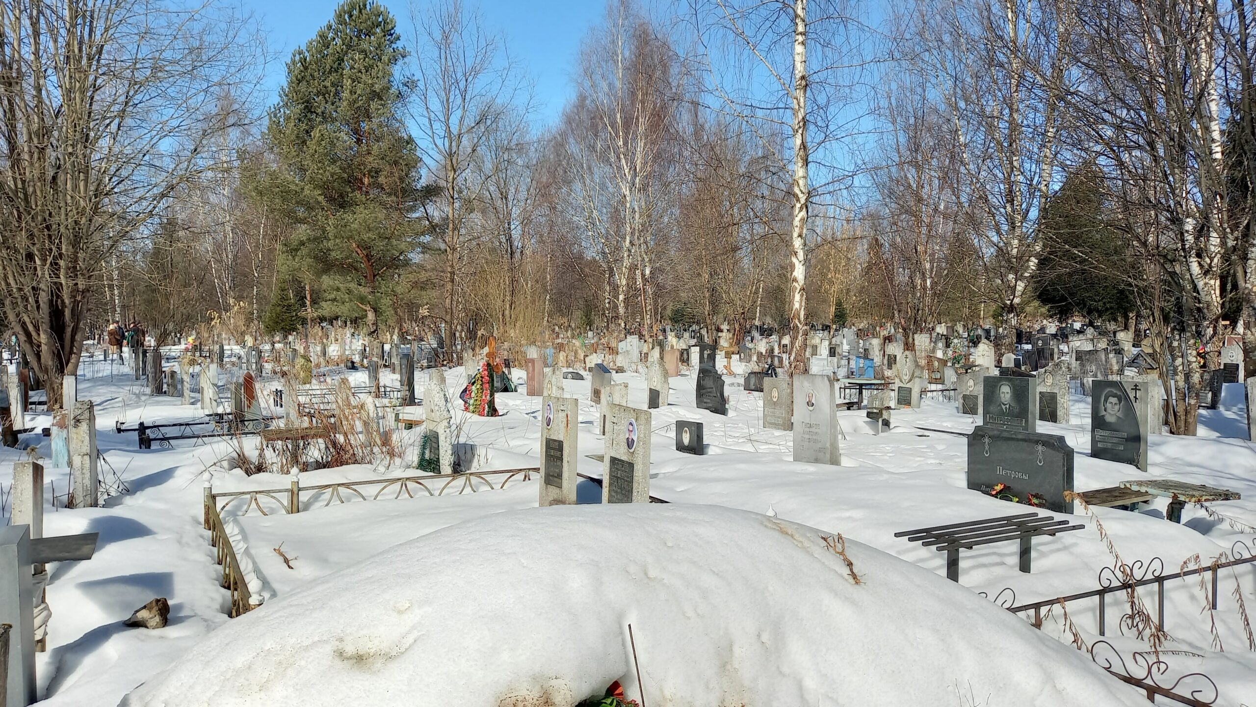 В Ярославле на Игнатовском кладбище установят видеонаблюдение