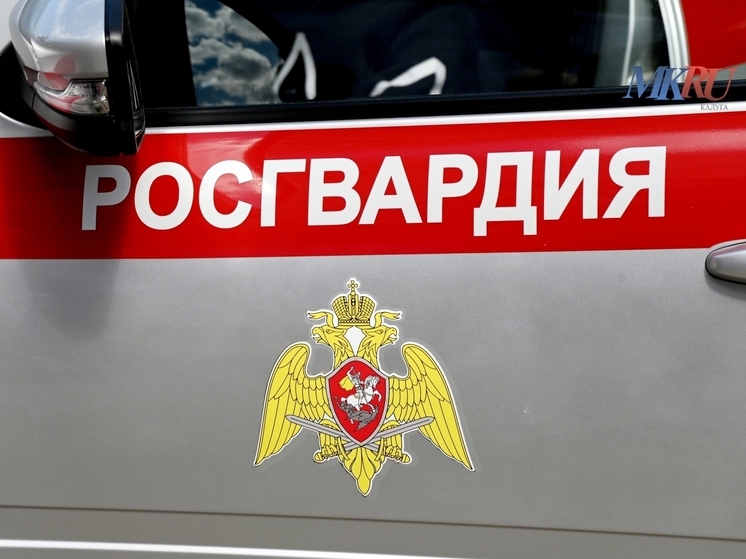Калужанин угнал чужую машину и пустил ее под уклон