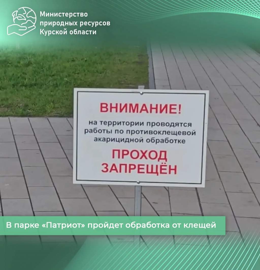 В курском парке 
