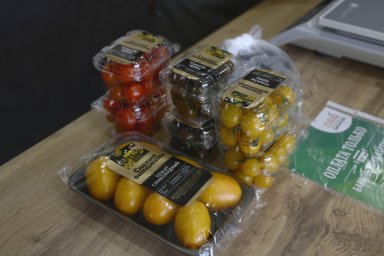 Фирменный магазин свежих овощей открыл тепличный комплекс «Камчатский» 3