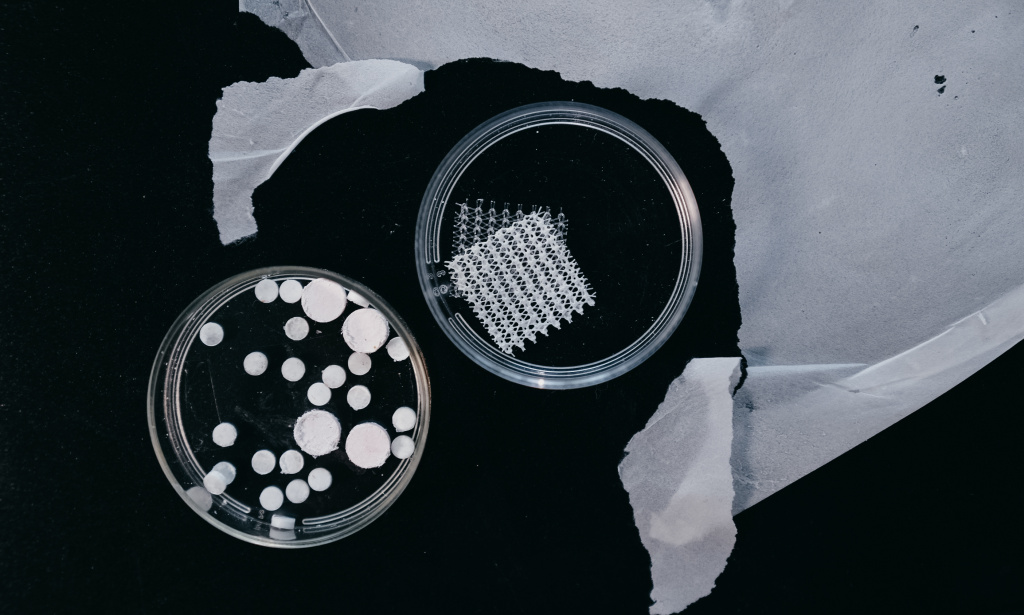 5_продукты, полученные из биопластика, синтезированного бактериями на жире из рыбных отходов (1) (1).jpg