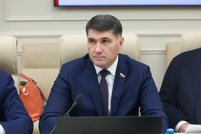 сенатор рф член совета федерации владимир пушкарев
