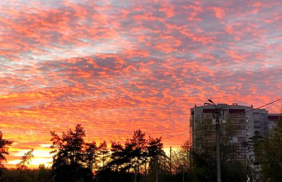 Что будет в Воронеже 20 января. Иван-бражник. День любителей сыра. Критический погодный день. Конкурс вокалистов «Зимушка»