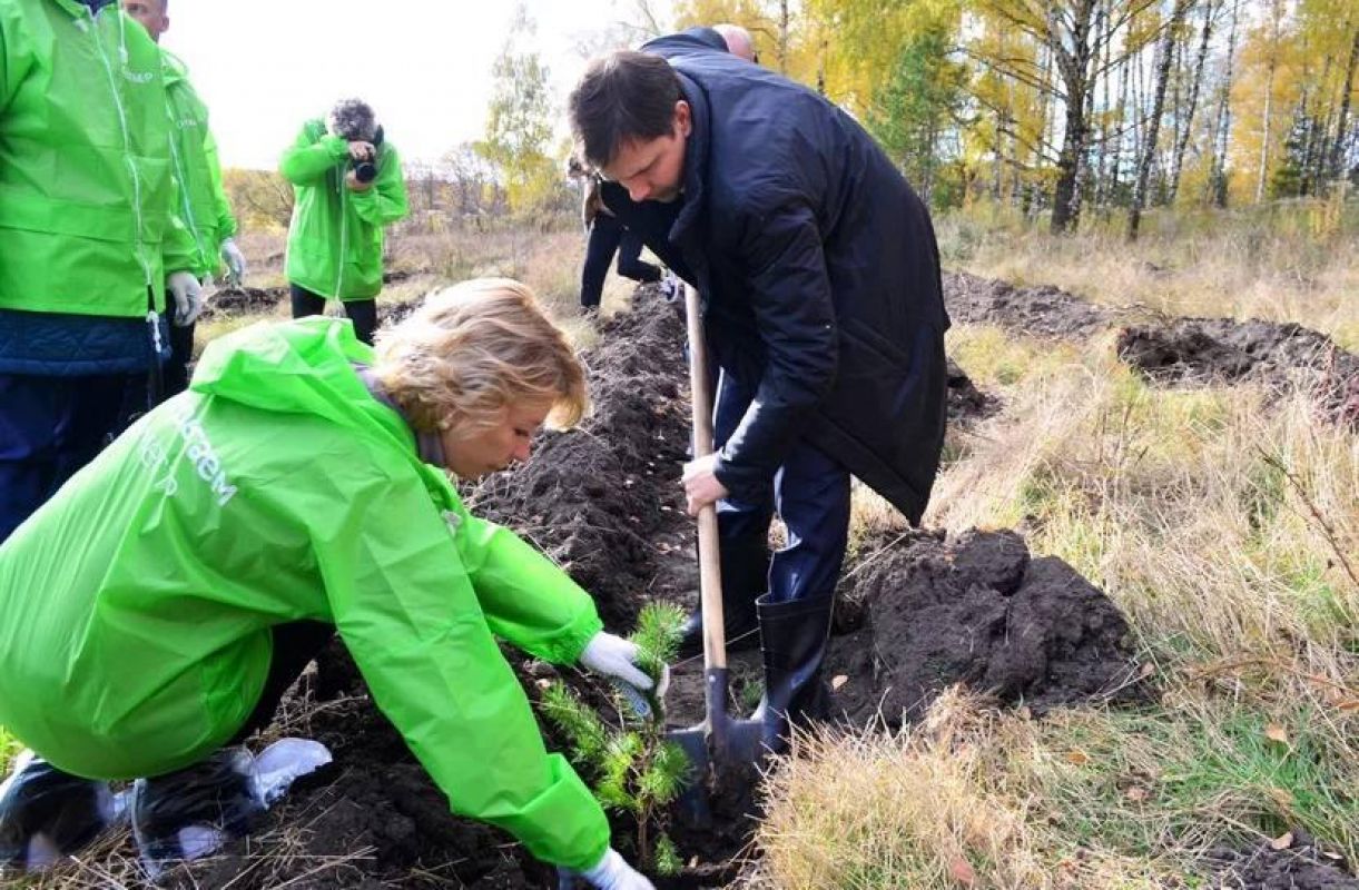 14 деревьев. Экологическая акция. Посадка деревьев экология. Акция по посадке деревьев. Акция посади дерево.