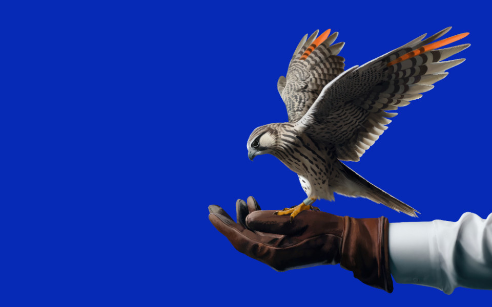 Нестандартные случаи вменения ст. 193.1 УК РФ