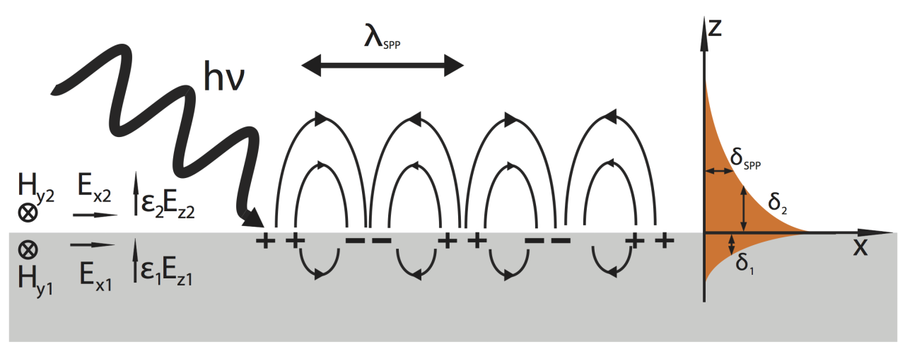 Схематическое изображение поверхностного плазмон-поляритона. Справа показана экспоненциальная зависимость интенсивности электромагнитного поля от расстояния до границы.