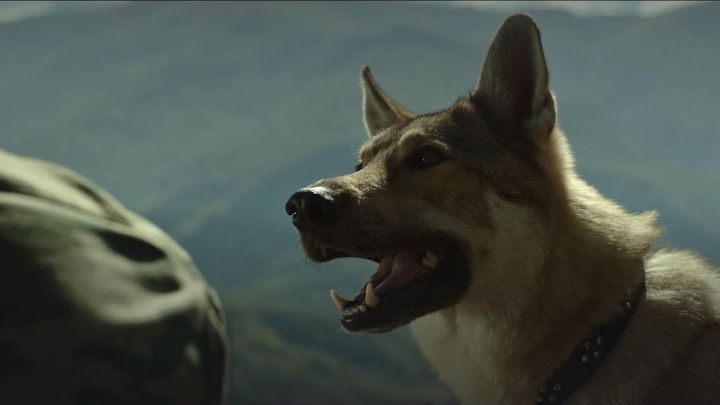 Захватывающие приключения и глубокий смысл - фильм Абрек уже доступен в онлайн-кинотеатре START