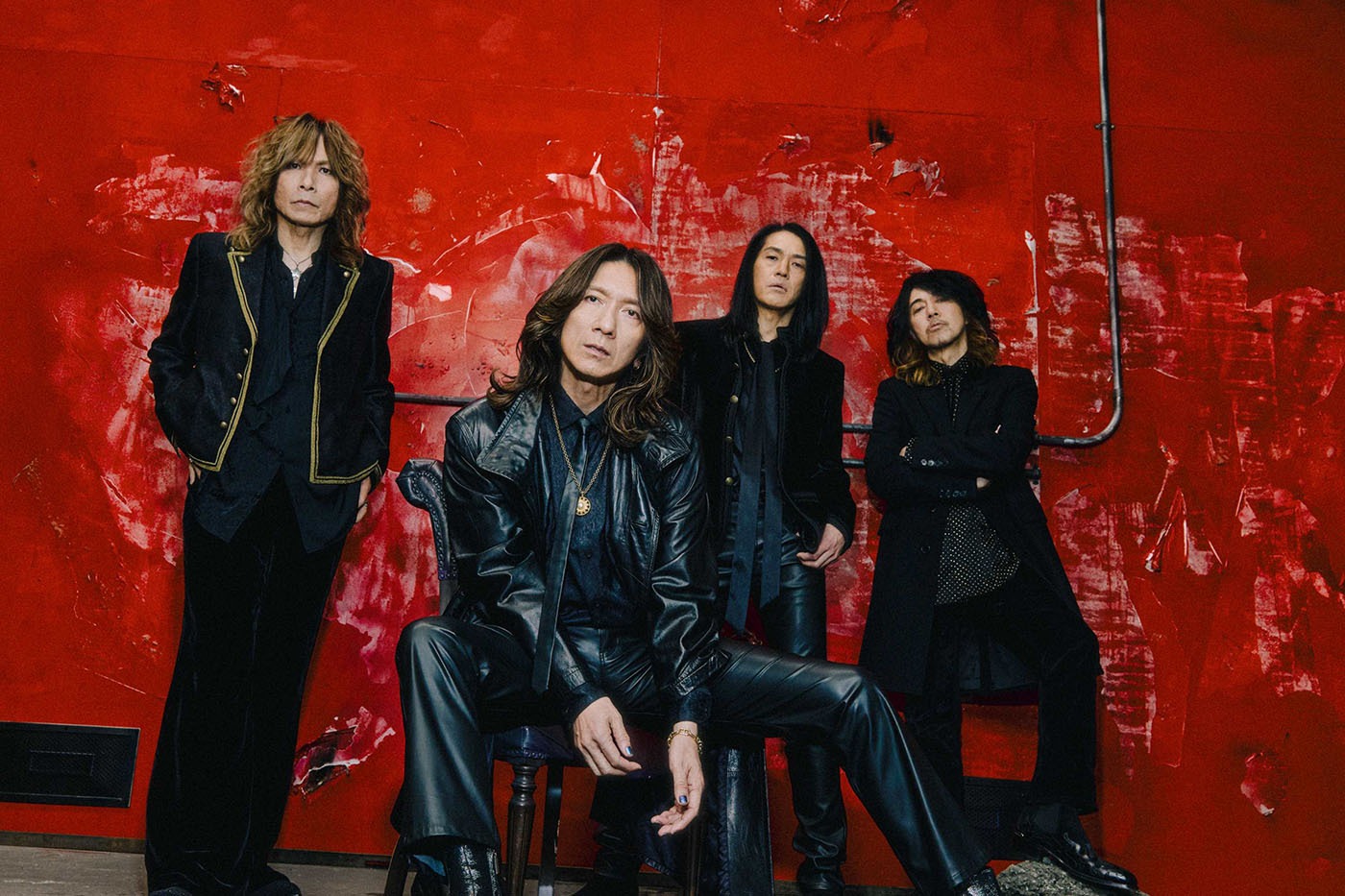 Милота уничтожит мир: «Ночь живых кошаков» наступит в июле (есть два видео!)