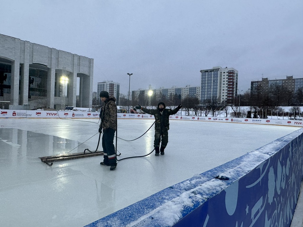 Каток в Лейзине Швейцария