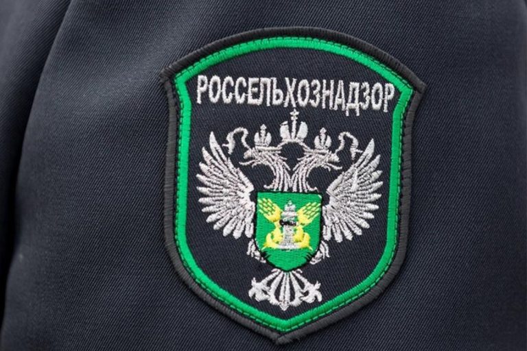 В Тверской области незаконно торговали саженцами роз