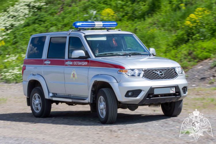 Сотрудники Росгвардии задержали в Рязанской области нетрезвого водителя