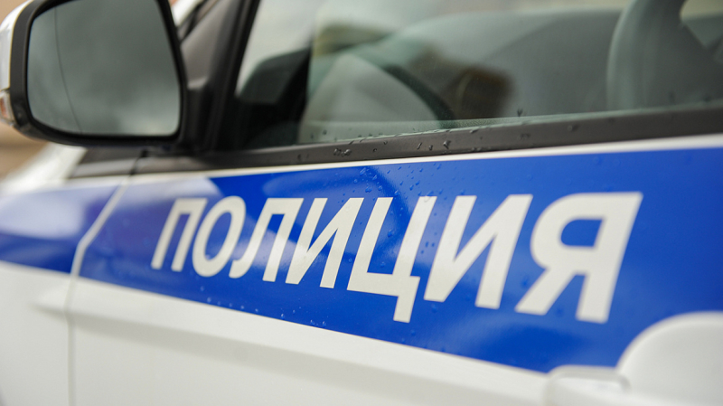 Протектор автомобильных шин вывел костромских полицейских на след украденного теленка