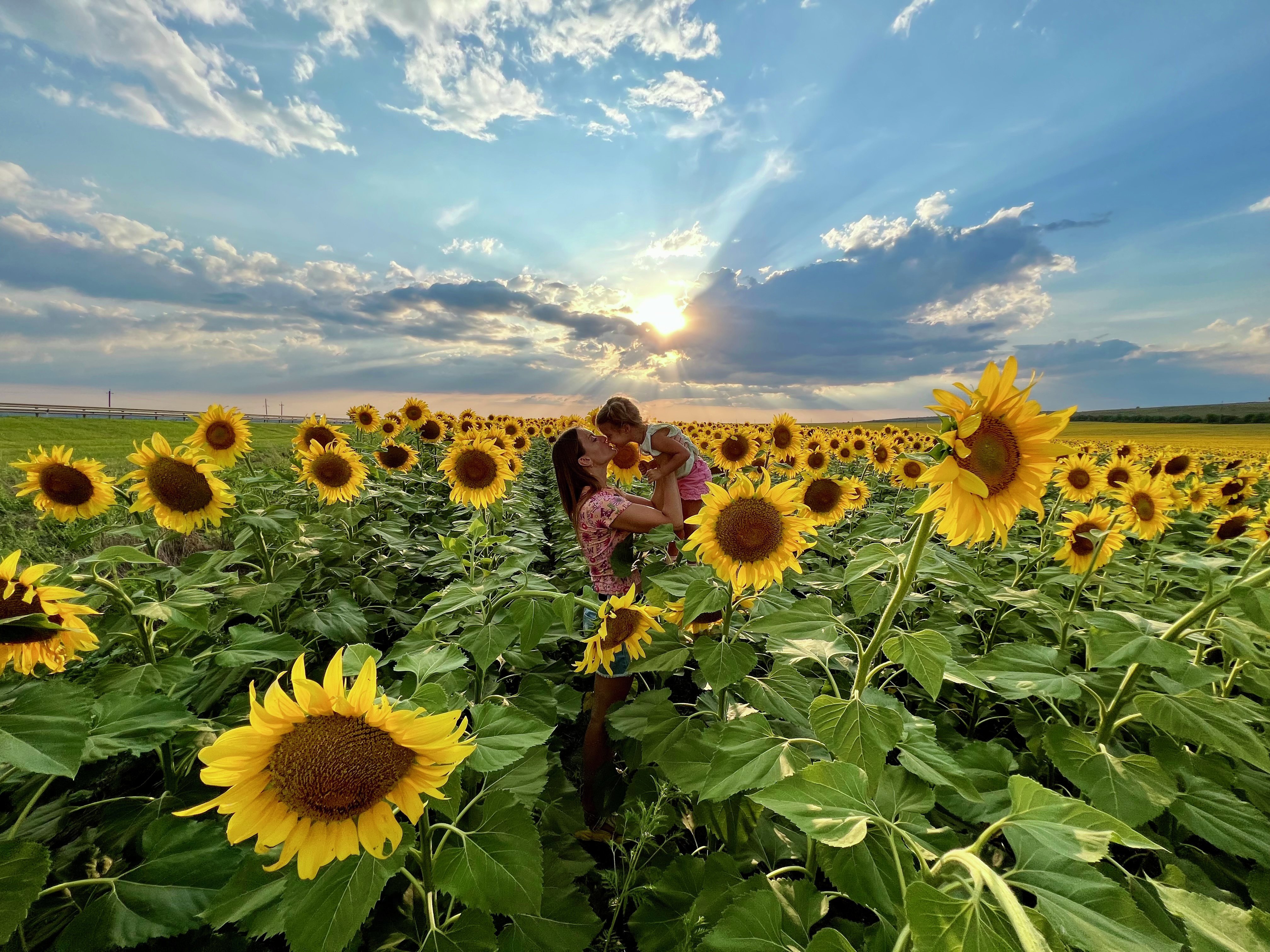 Фотография Ивана Коваленко &laquo;Солнышки&raquo;