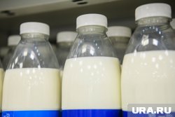 Ялуторовский молочный комбинат готовится выйти на рынок Китая