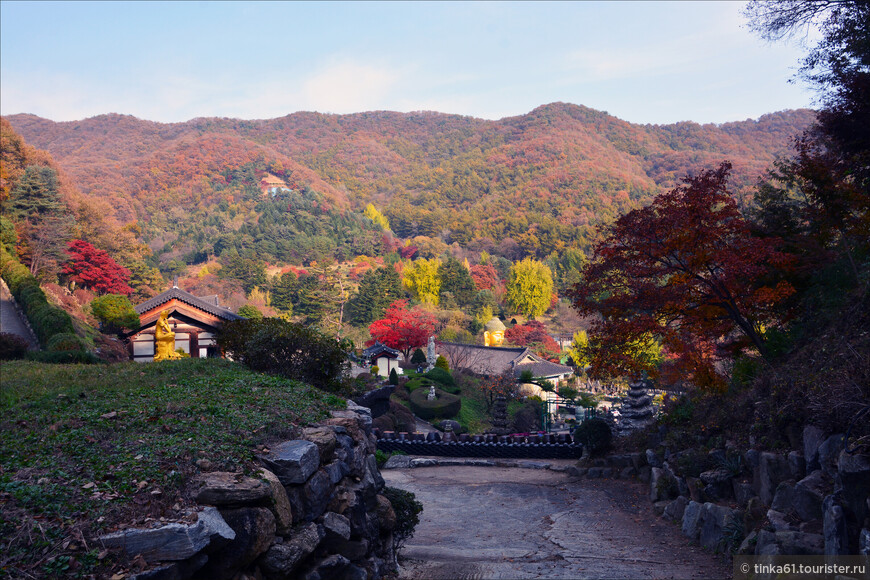 Танпхун - фольклор, этнография и лесной храм