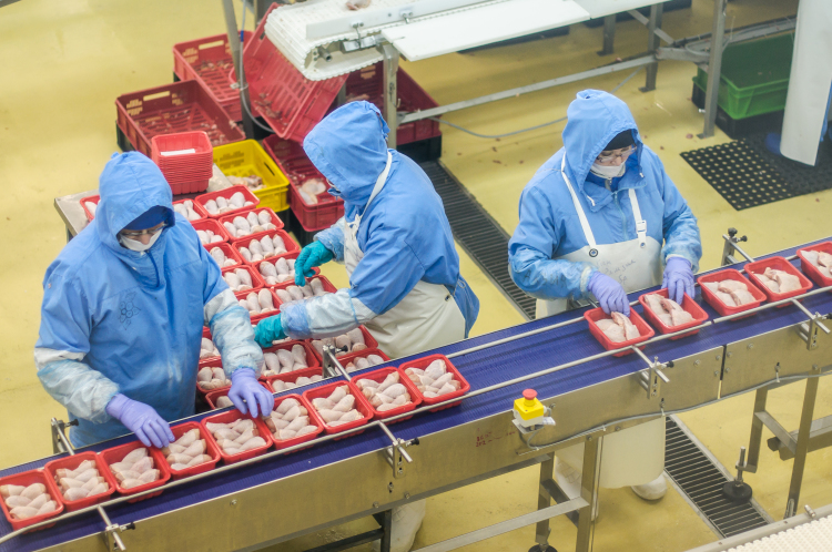 Основная причина получения убытка ООО «Челны-бройлер» — закредитованность компании