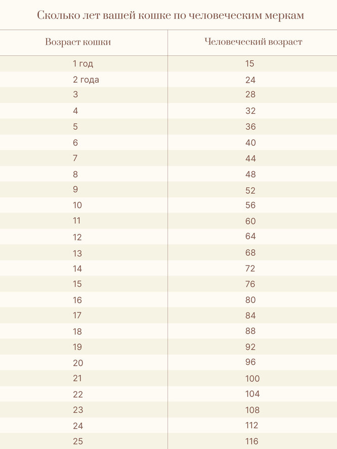 76 год сколько лет человеку - 20/48