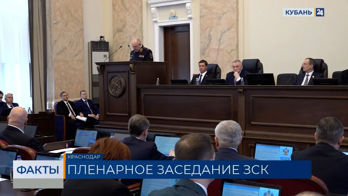 Общее число преступлений в Краснодарском крае за 2025 год снизилось на 15,6%