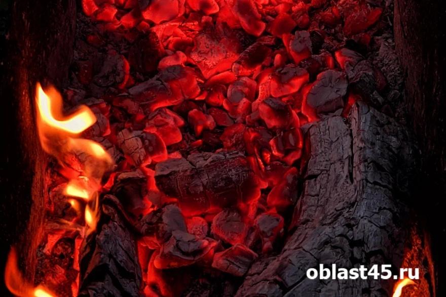 Жительница Курганской области два года будет отрабатывать свою хулиганскую выходку