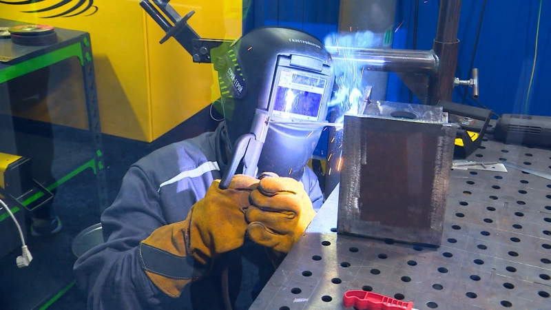 Татьяна Голикова назвала профессии, которые будут востребованы в России в ближайшие 7 лет - tvspb.ru