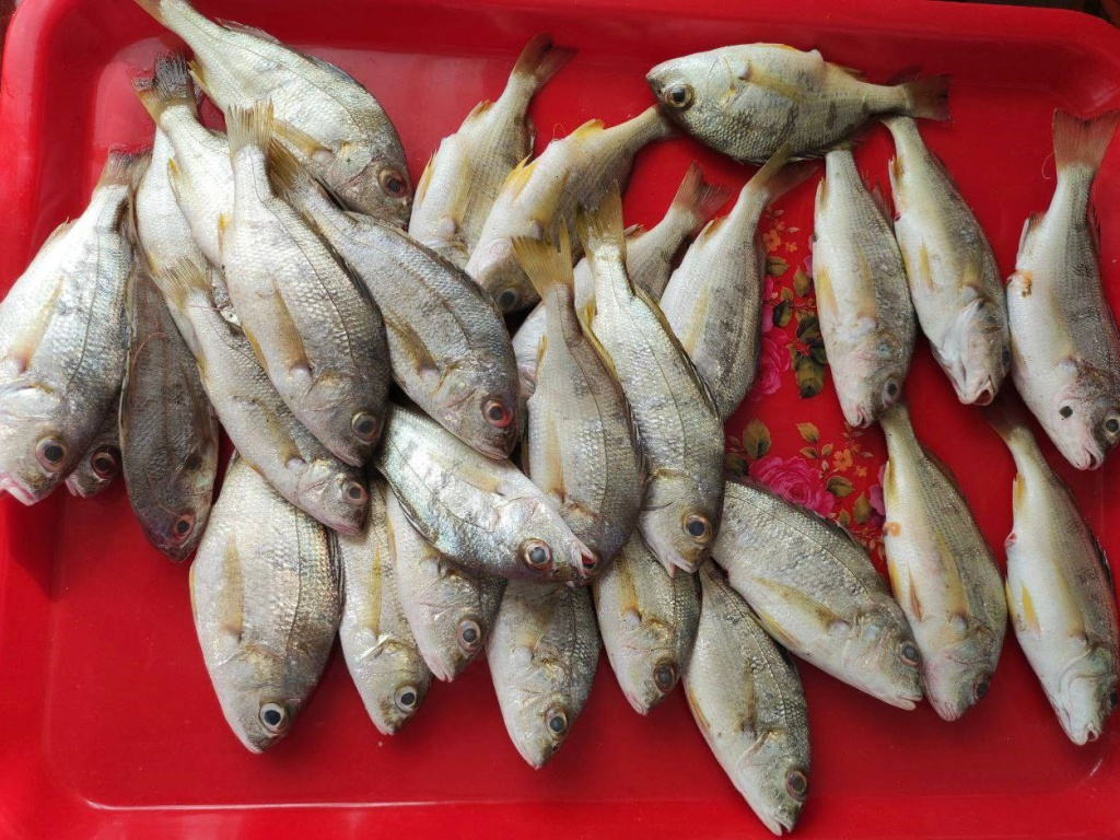 Вьетнам 9.jpg