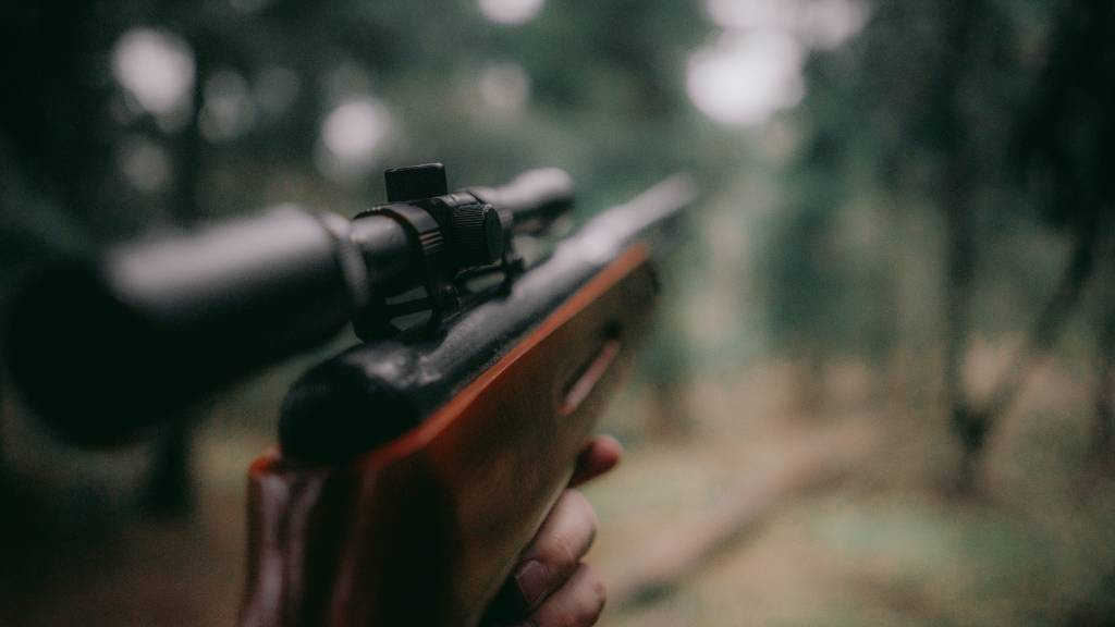 Фото: unsplash. com