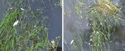 прокуратуры Калужской области 
