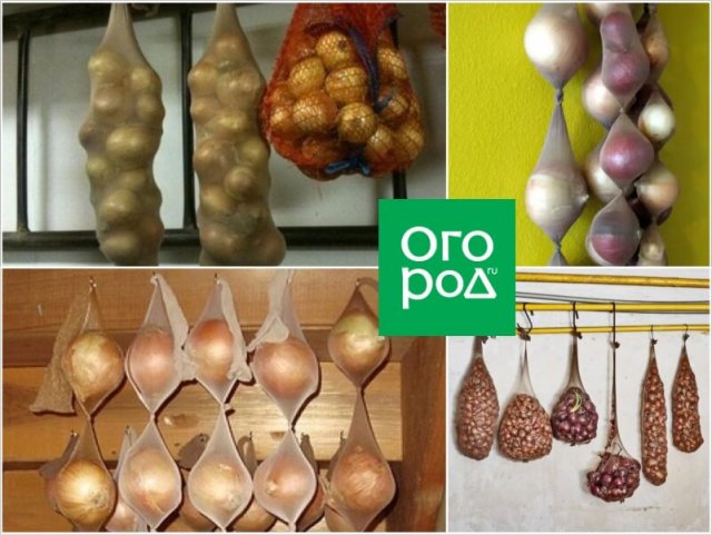 Хранение лука и чеснока в колготках