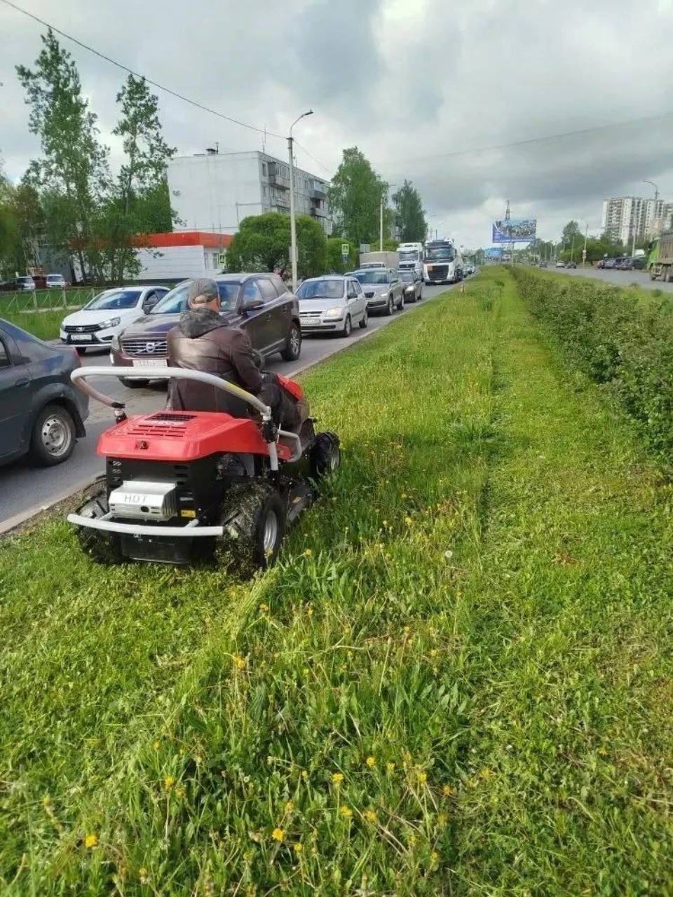 В Пскове приступили к покосу травы