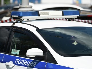 Очередной скелет обнаружен в лесу под Балашихой