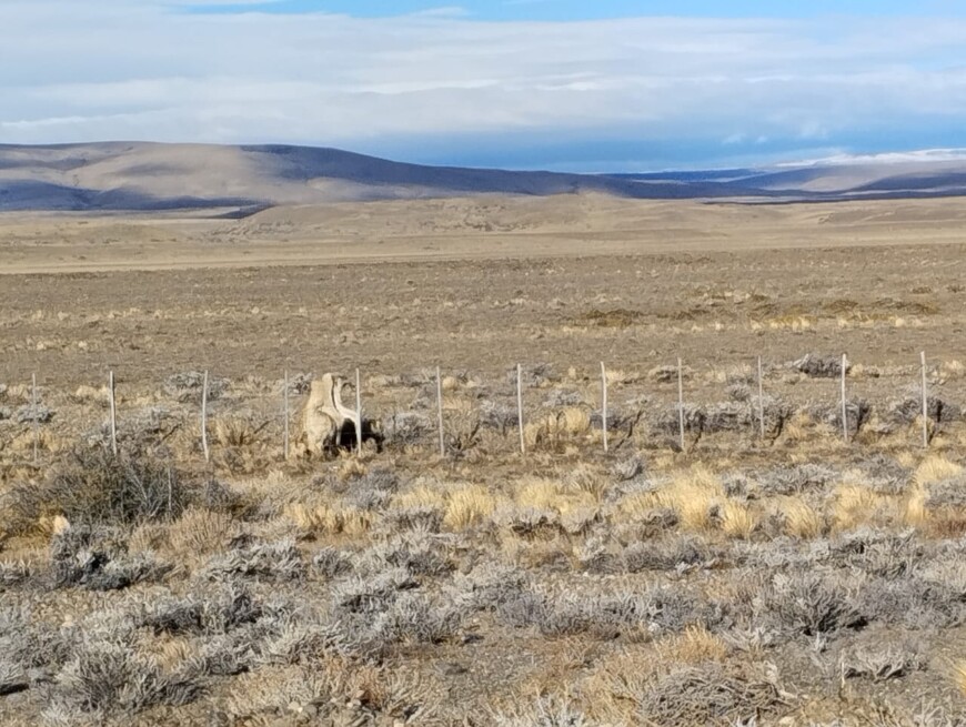 Фиц Рой – плод терпения