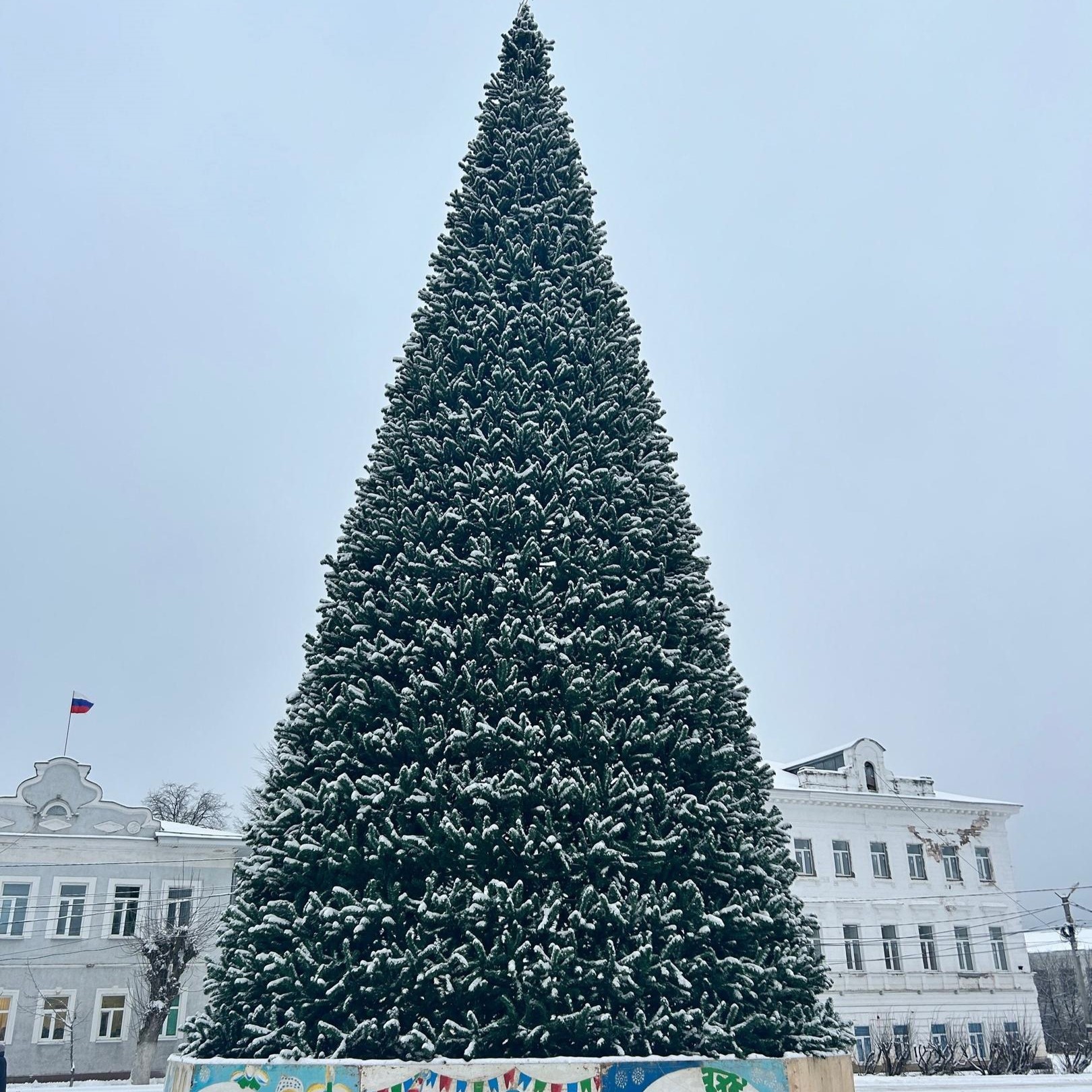 В Родниках на центральной площади установили елку