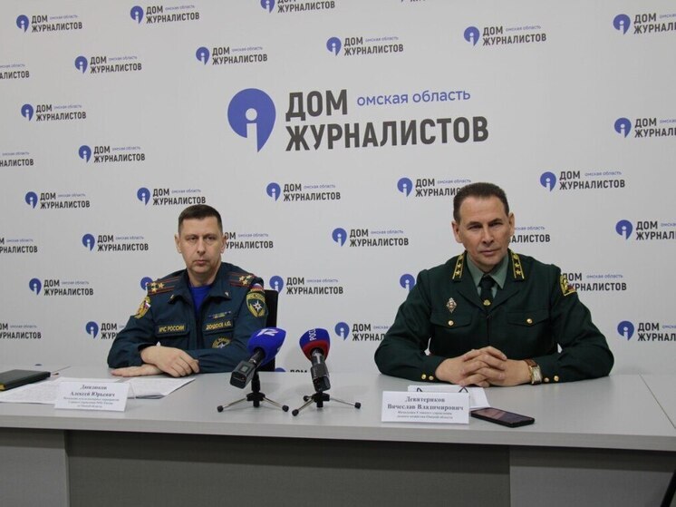 В Омской области с начала года произошло 16 лесных пожаров