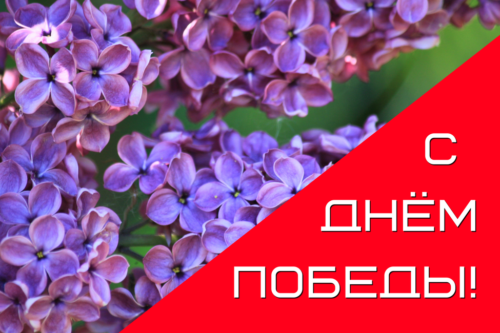 Открытка к празднованию Дня Победы