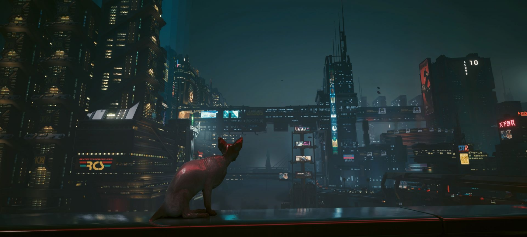 Как получить кота в cyberpunk 2077. Кот киберпанк. Кошачий киберпанк. Cyberpunk 2077 машины. Киберпанк проекты.