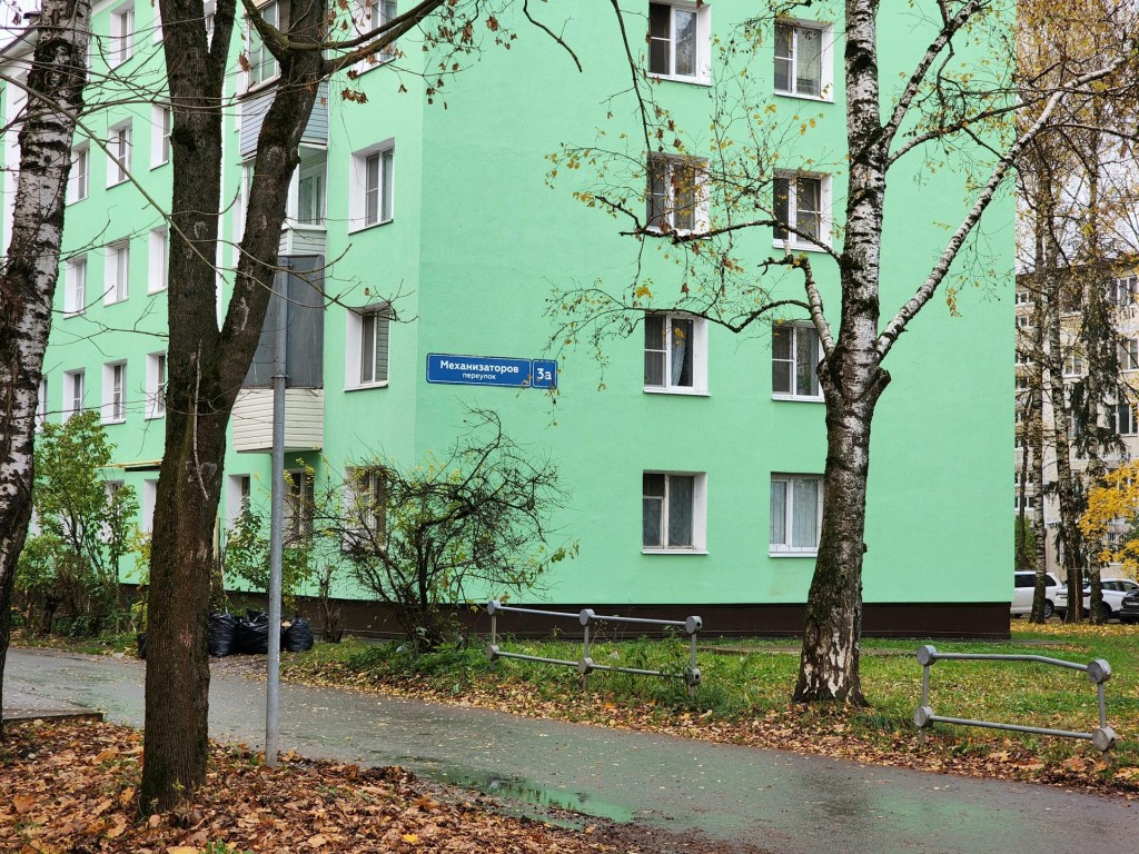 Спиленные ветки в переулке Механизаторов уберут в течение недели