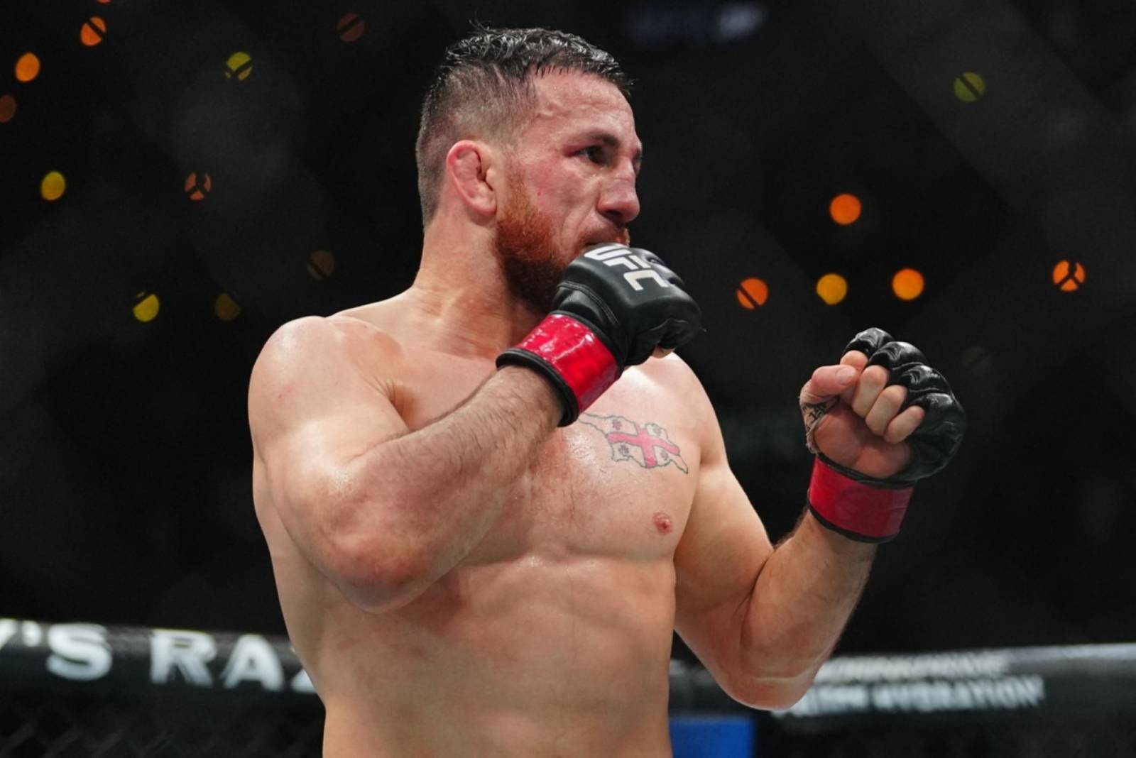 Грузинский боец: Уверен, Двалишвили вернёт пояс