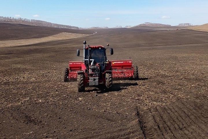 В Хакасии на посевную приготовили 19,1 тыс. тонн семян
