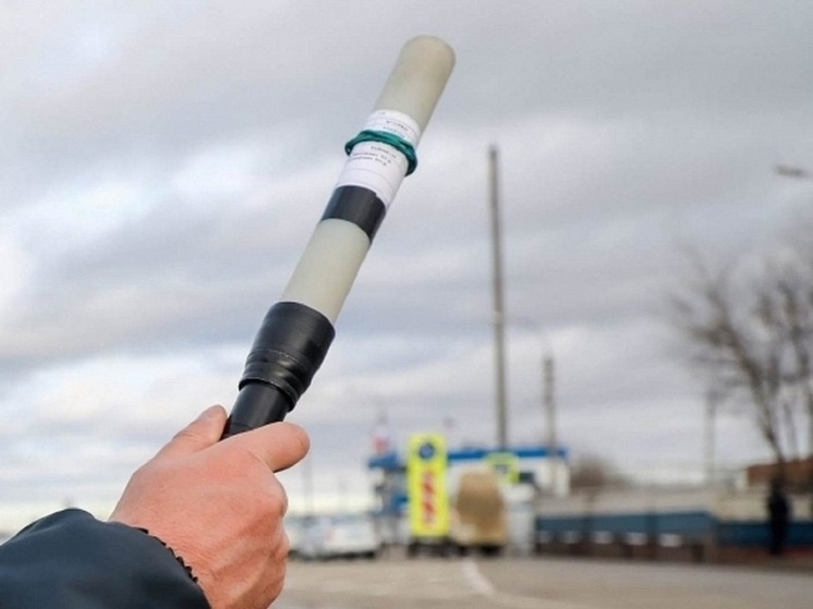 Водителя задержали в Камышине за попытку дать взятку инспектору ДПС
