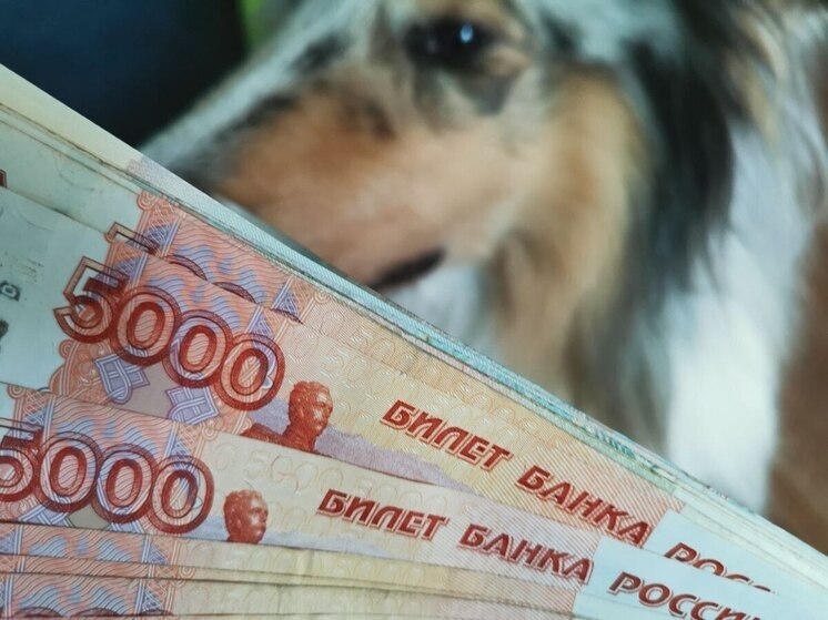 Приморцам могут ввести сбор за путевки за границу — до 300 рублей с каждой