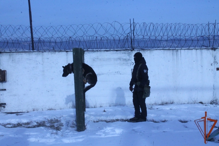 На Дальнем Востоке проходят мероприятия, посвященные всероссийскому Дню призывника 
